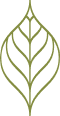green-leaf-icon